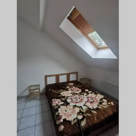 Entire Flat Near The Sculpture Park - City Center * كلابيدا